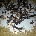 cry154's cooksnap of when they made Smores Pie.