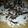 cry154's cooksnap of when they made Smores Pie.