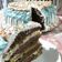 El cooksnap de Willy cuando hizo Torta de cumpleaños con chantilly y chocolate 🍫 😋 💕.