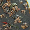 Cooksnap dari anggraeni untuk resep Cumi Hitam Pedas Kental Surabaya