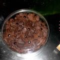 Cooksnap dari Prita untuk resep Kukiz Nutrijel (eggless cookies)