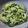 Cooksnap dari Herna Guan untuk resep 166. Romaine tumis saos tirem