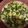 El cooksnap de Cocina Seignalet cuando hizo Revuelto de claras, espárragos trigueros y bacalao.