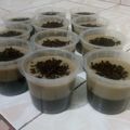 Cooksnap dari Melany Tanko untuk resep Puding tiramisu