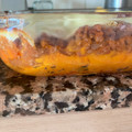 El cooksnap de Laura cuando hizo Pastel de Carne Picada y Patata.