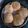 thakkarmansi's cooksnap of when they made લીલવા ની કચોરી (Lilva Kachori Recipe In Gujarati).