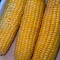 صورة من ام نونة، شاركها بعد تجربة وصفة ذرة 🌽 مشوية