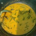 Cooksnap dari Rani Tanjung untuk resep Gulai Kacang Panjang Tahu