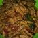 Cooksnap dari Indah S untuk resep Orek tempe kering pedas manis