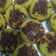 Cooksnap dari Hanifah Muslimah untuk resep Kue Cubit Lembut