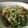 Cooksnap dari ekitchen untuk resep Resep Sayur Buncis Tuna Enak