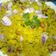 Priyanka Shrivastava का कुकस्नैप जब उन्होंने कांदा पोहा(kanda poha recipe in hindi) बनाया था।