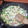 El cooksnap de Almudena Collado cuando hizo Guisantes con bacon y huevo duro.