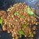Cooksnap dari Arbeid T. Francis untuk resep Balado Teri kacang
