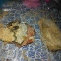 El cooksnap de vero burgos cuando hizo Milanesas de berenjenas rellenas.