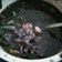 Cooksnap dari Fenny Juliana untuk resep Pindang cumi hitam aka tumis cumi tinta hita