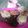 Cooksnap dari cha untuk resep Brownies kukus serba 6 sdm