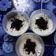 Cooksnap dari Ani Harlan untuk resep Oreo cheese cake