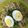 Rita mehta's cooksnap of when they made Egg Fried Rice.