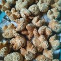 Cooksnap dari Lily_moo untuk resep Onde-onde ketawa mini