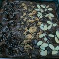 Cooksnap dari Mutiara Anisa untuk resep Shiny crust brownies potong