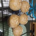 Cooksnap dari Arini Gumilang untuk resep Roti keto