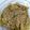 Cooksnap dari Firman Prastio untuk resep Daging srondeng