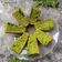 Cooksnap dari Nyonya Farhan untuk resep Bolu daun kelor