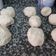 El cooksnap de Judith Alberich Frances cuando hizo Masa de pizza para freezar.