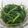 Cooksnap dari Diella untuk resep Tumis Bayam dan Tauge (#postingrame2_tumissayur)