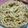 El cooksnap de Balbijesusmaria cuando hizo Fideos con pesto a base de Albahaca.