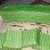 Cooksnap dari B Tetty untuk resep Kue Lapis Tepung Beras & Tapioka