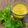 Aunty Eiko's international cuisine experience 's cooksnap of when they made French dressing with mirepoix.