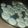 El cooksnap de Evangelina Romani cuando hizo Masitas de manteca.