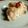 Emma G.'s cooksnap of when they made pineapple pie (Johnny cash's mother's recipe).
