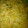 Hauwa'u Aliyu Danyaya's cooksnap of when they made Spaghetti jolof.