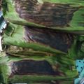 Cooksnap dari Wija Christ 'Yaya Mohende' untuk resep Nasi Bakar Jamur Tiram