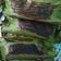 Cooksnap dari Wija Christ 'Yaya Mohende' untuk resep Nasi Bakar Jamur Tiram