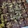 Cooksnap dari Feli Aquamarine untuk resep Chewy brownies