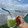 El cooksnap de poramoralhambre cuando hizo Agua de Piña y Pepino.