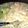 valdezyusimi's cooksnap of when they made Yummy shrimp pasta with alfredo sauce.