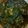 Diana Asare's cooksnap of when they made Afang Soup Meshed With Assorted Meats And Sea Foods.