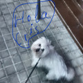 El cooksnap de Patricia Martín Soto cuando hizo Arròs amb fesols i naps.