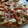 El cooksnap de Agus_tina cuando hizo Pizza Casera -Fácil y rica.