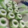 Cooksnap dari Naimah Nor untuk resep Bolu Pandan Mini Praktis no oven no kukus