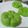 Cooksnap dari Nad. untuk resep 835. Bolu Kukus Santan Pandan 2 Telur Aja!