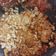 Cooksnap dari iccha Cukha Capi untuk resep Tempe sambal penyet extra pedas