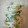 El cooksnap de Norbe cuando hizo Pasta con salsa de brócoli - Gluten Free.