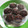 Cooksnap dari Dyah Yana UMMI FADILA untuk resep Choco muffin