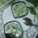 Cooksnap dari Dapur Ummi MHF untuk resep Puding bayem